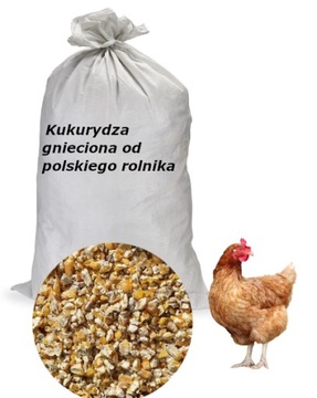 Kukurydza gnieciona 25 kg dla bażantów gęsi indyków kaczek kur