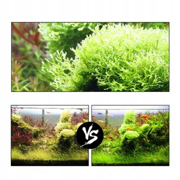 КОМПЛЕКТ СИСТЕМЫ ГЕНЕРАТОРА CO2 ДЛЯ АКВАРИУМА своими руками