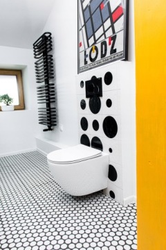 Промывка -Установка туалета Grohe Frame + Rimelss Bowl
