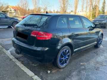 Audi A3 8P Hatchback 3d 2.0 TDI PD 140KM 2008 Audi A3 Sportback Audi A3 Sportback 2,0 Diesel Bogate Wyposazenie Hak Zami, zdjęcie 10
