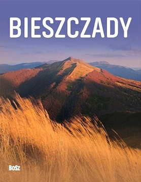 BIESZCZADY TW 2019