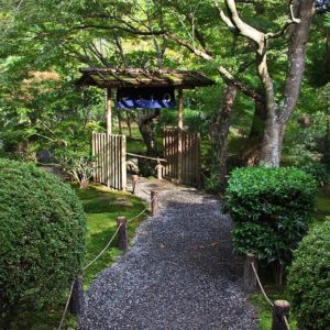 Натуральный Зеленый Гравий Гравий для Сада 20 кг Зеленый