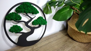 Бонсай древесный мох Премиум изображение 60 см