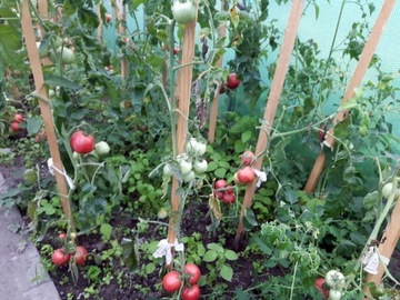 Накрытие фольгированного тоннеля садовой теплицы 2х3,5 м.