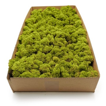 Финский мох 500г NET Лайм