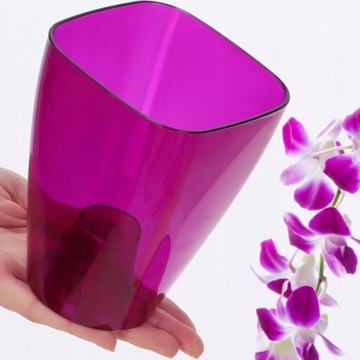 Strep Laint для Storczy