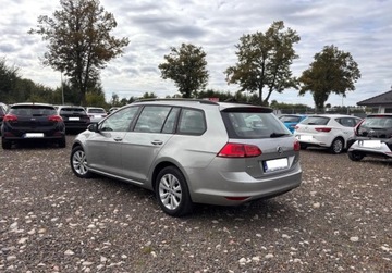 Volkswagen Golf VII Variant 1.6 TDI CR DPF BlueMotion Technology 105KM 2014 Volkswagen Golf 1.6D 105KM przeb.186tys ksiazka xenon zarejestrowany 1.6, zdjęcie 5