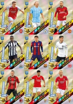 FIFA 365 2024 PANINI ADRENALYN XL АЛЬБОМ ФУТБОЛЬНЫХ КАРТочек МАЛЕНЬКИЙ CAN NORDIC