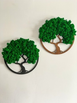 МОХ КАРТИНА БОНСАЙ МОСС ГЭМБЛ ДЕРЕВО ЖИЗНИ ДЕРЕВО СЧАСТЬЯ