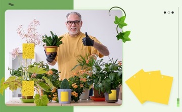 ДОСКИ ДЛЯ НАКЛЕЙКИ, ЖЕЛТАЯ БУМАГА ДЛЯ ВИШНЕВЫ, ЛОВУШКИ ДЛЯ НАСЕКОМЫХ, 74 шт.