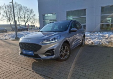 Ford Kuga III SUV 2,0 EcoBlue 120KM 2023 Ford Kuga 2.0 EcoBlue 120 KM AWD AT8 wersja ST-Line - FV23 - gwarancja do, zdjęcie 1
