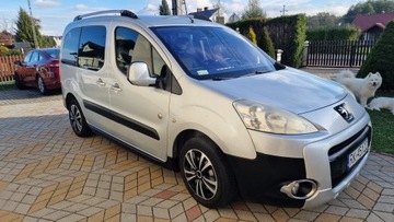 Peugeot Partner II Furgon 1.6 HDi FAP 92KM 2010