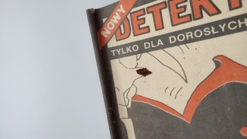 Новый детектив 1