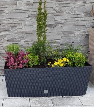 ЦВЕТОЧНЫЙ ГОРШОК, САДОВАЯ ЯЩИКА, ЦВЕТОЧНАЯ ЯЩИКА ДЛЯ БАЛКОНА, ТЕРРАСЫ, АНТРАЦИТ + ВСТАВКА
