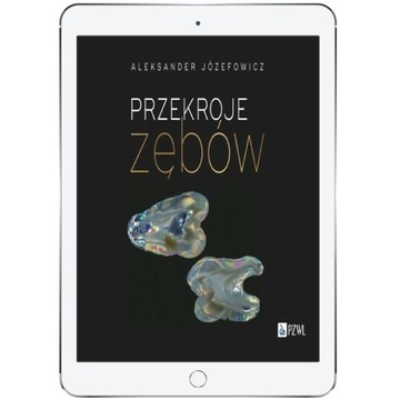 Przekroje zębów