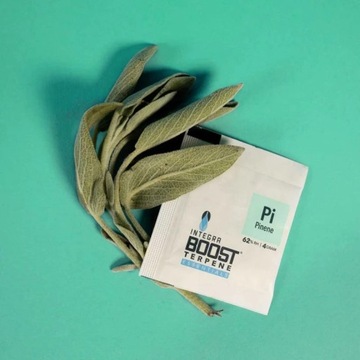 Контроллер влажности трав Integra Boost PINENE