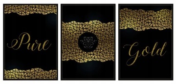 OBRAZ PLAKATY W RAMIE 53x73cm Tryptyk Gold P575