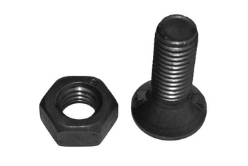 ŚRUBA PŁUŻNA 2 NOSKOWA D1030 M10x30 12.9 DIN11014