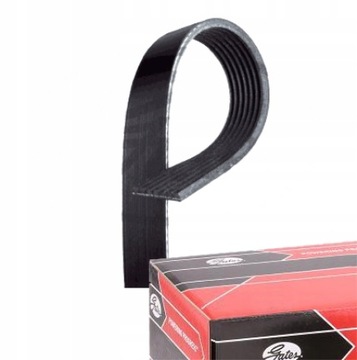 PASEK KLINOWY WIELOROWKOWY do BMW 3 E91 316i 318i 320i