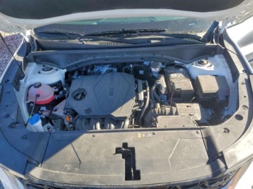 Kia Sorento IV 2025 Kia Sorento S 2025 2.5 Benzyna 191KM, zdjęcie 6