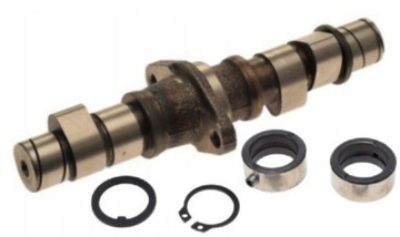 WAŁ WAŁEK ROZRZĄDU + PANEWKI Kingway Traper 250cc