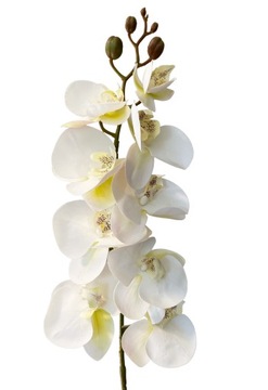 STORCZYK BIAŁY GUMOWANY ORCHIDEA GAŁĄZKA JAK ŻYWY