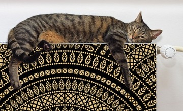 МАГНИТНЫЙ КОВРИК ДЛЯ РАДИАТОРА 100х60 ФОТОБОИ С УЗОРОМ