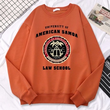 Simple Fashion Womens Pullovers University Of Amer