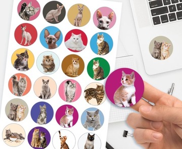 НАБОР НАКЛЕЙКИ + ТАТУ ДЛЯ ДЕТЕЙ ДЕТСКИЕ КОШКИ КОТЯТА КАЧЕСТВО