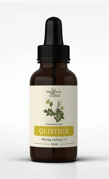 Glistnik nalewka 1:1 Jaskółcze Ziele 50ml Nanga