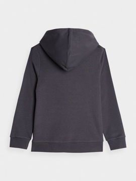 Толстовка для толстовки 4F.