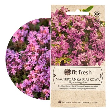 MACIERZANKA PIASKOWA 0,1G Kwiaty Fitfresh