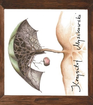 KRZYSZTOF MYSZKOWSKI SDM ALBUM CD + DVD ŻYTNIÓWKA