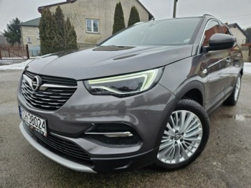Opel 2021 Opel Grandland X 224ps, Full Led, Blis, Navi, Kame, zdjęcie 2