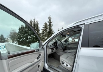 Mercedes Klasa GL X164 2011 Mercedes-Benz GL Mercedes-Benz GL 350 BlueTEC 4Matic 7G-TRONIC 3.0 Diesel, zdjęcie 12