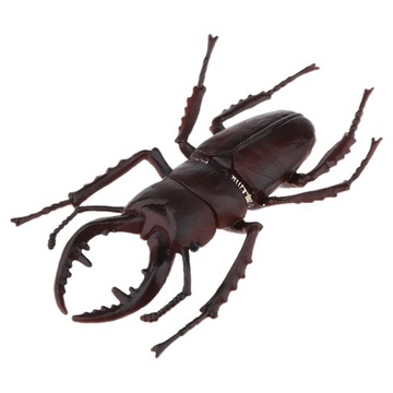 Моделирование насекомых Рисунок Модель Высокий песчаный червь