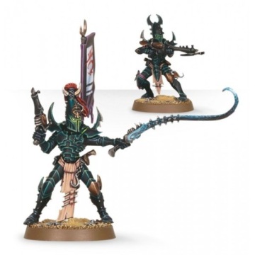 WH40K Кабалитские воины | Друкхари