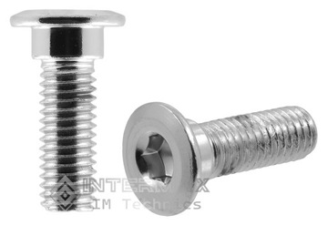 ŚRUBA TARCZY HAMULCOWEJ MOTOCYKL SKUTER 4T/2T IMBUSOWA 28 / 20 mm M8 x 1,25