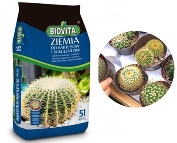 Грунт для кактусов и суккулентов Healthy Growth субстрат Biovita 5л