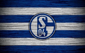 FC SCHALKE 04 LOGO Naklejka,plakat 110 cm K290