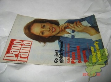 Panorama Nr 38 21,9,1986