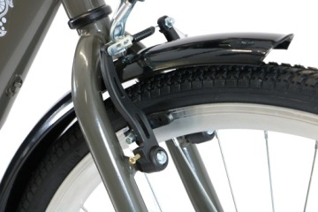 ГОРОДСКОЙ ВЕЛОСИПЕД С НИЗКОЙ РАМОЙ 28 ДЮЙМОВ ЖЕНСКИЙ МУЖЧИНСКИЙ ЖЕНСКИЙ НИЗКОСИДЯЩИЙ СЕРЫЙ