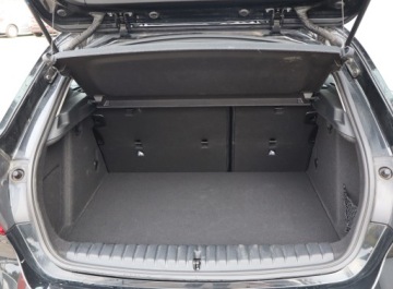 BMW Seria 1 F40 2021 BMW 1 118i, Salon Polska, 1. Właściciel, zdjęcie 13