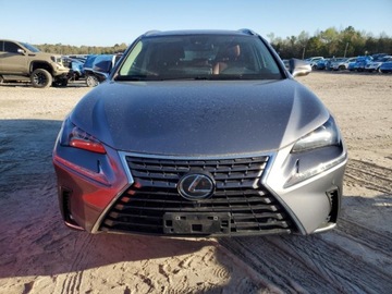 Lexus NX II 2021 Lexus NX 300 Base 2021 2.0l 2.0 Benzyna 235KM, zdjęcie 5