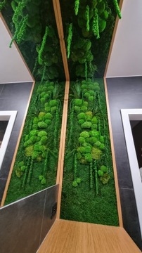 Панно из живого мха, экзотический зеленый, стена из мха 130 х 20 см, размер 3D