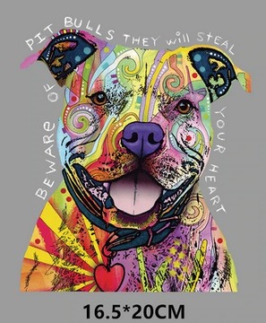 НАНЕСЕНИЕ ТЕРМОНАКЛЕЙКИ PIT BULL W23 УТЮГОМ