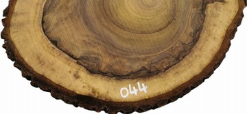 Срез грецкого ореха 53x46 Дерево для смолы