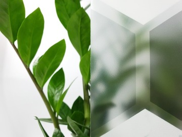 Оконная пленка, оконный шпон статический ПВХ