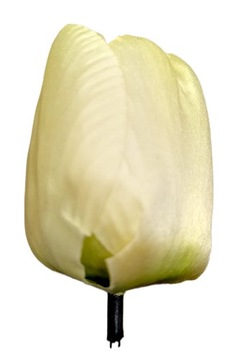 12 SZTUK TULIPAN GŁÓWKA DUŻA KREMOWA 7 cm. wyrobowa kwiaty sztuczne