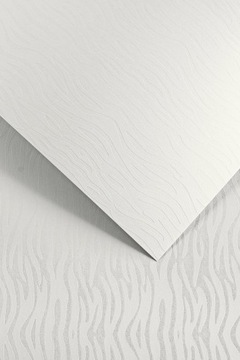 Papier Karton ozdobny PACIFIC BIAŁY A4 200g 20ark
